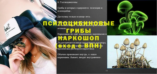 метадон Белокуриха