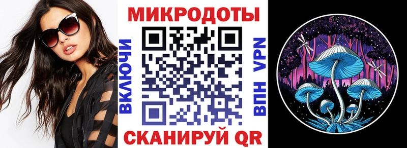 Псилоцибиновые грибы прущие грибы  Заполярный 